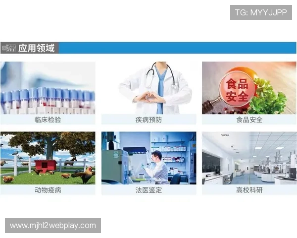 PG电子官方首页优化后更便于用户操作实现快速注册和安全登录流程